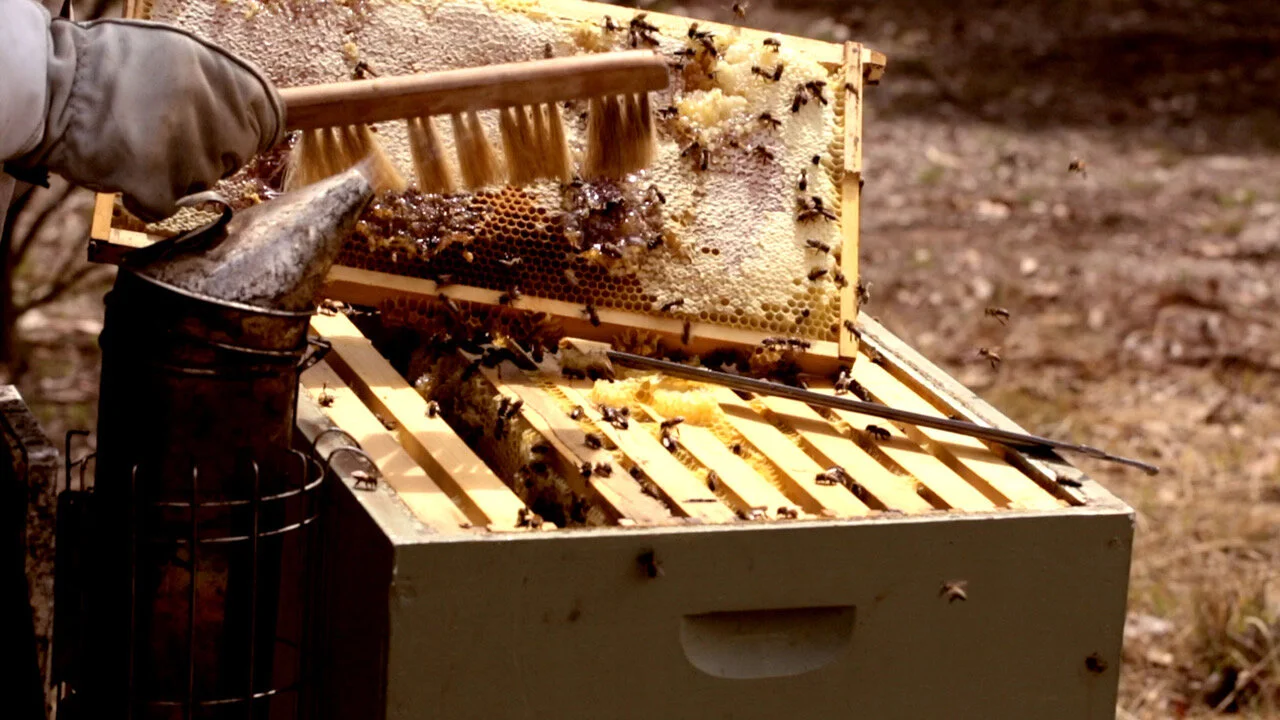 Keeper-Of-Bees-3.jpeg