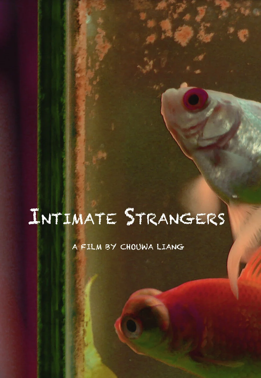 Intimate Strangers poster