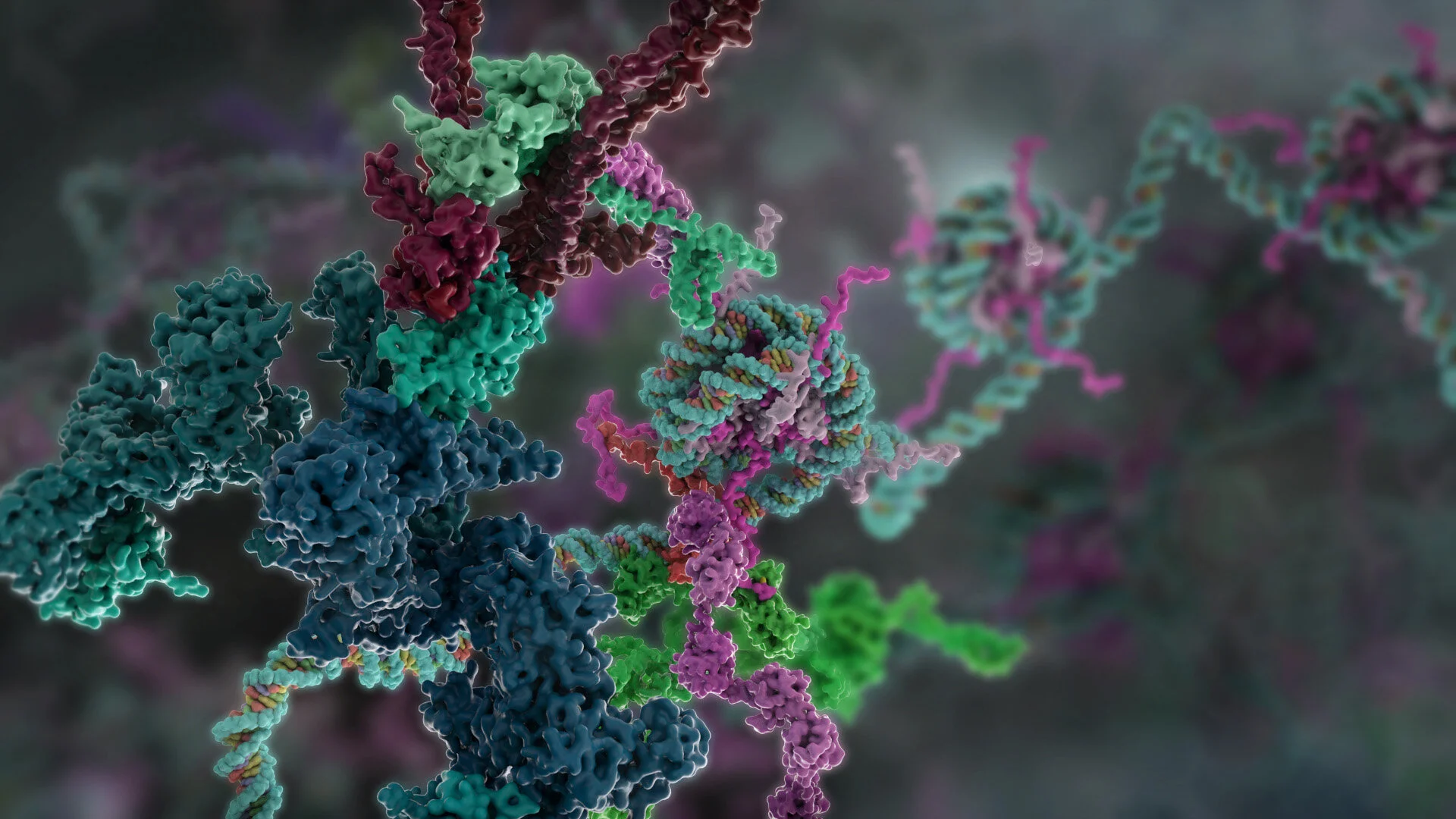 BRCAI controls DNA repair