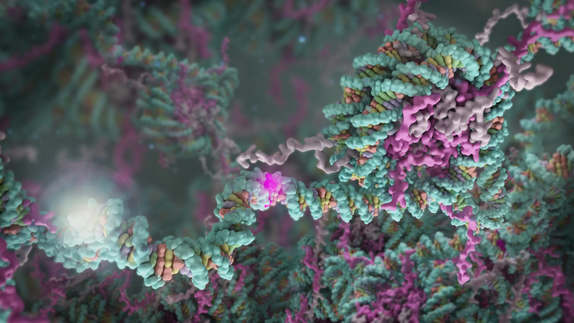 DNA damage