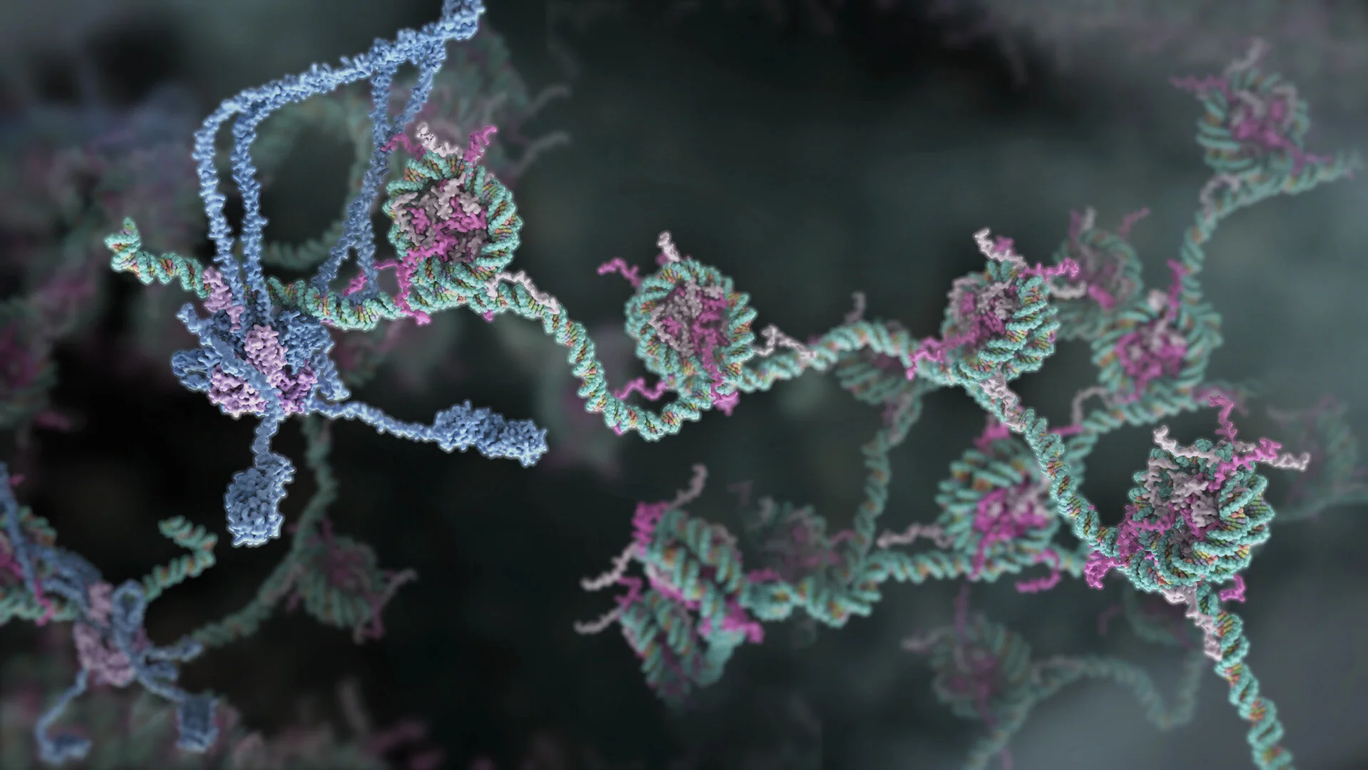Searching for a broken DNA end