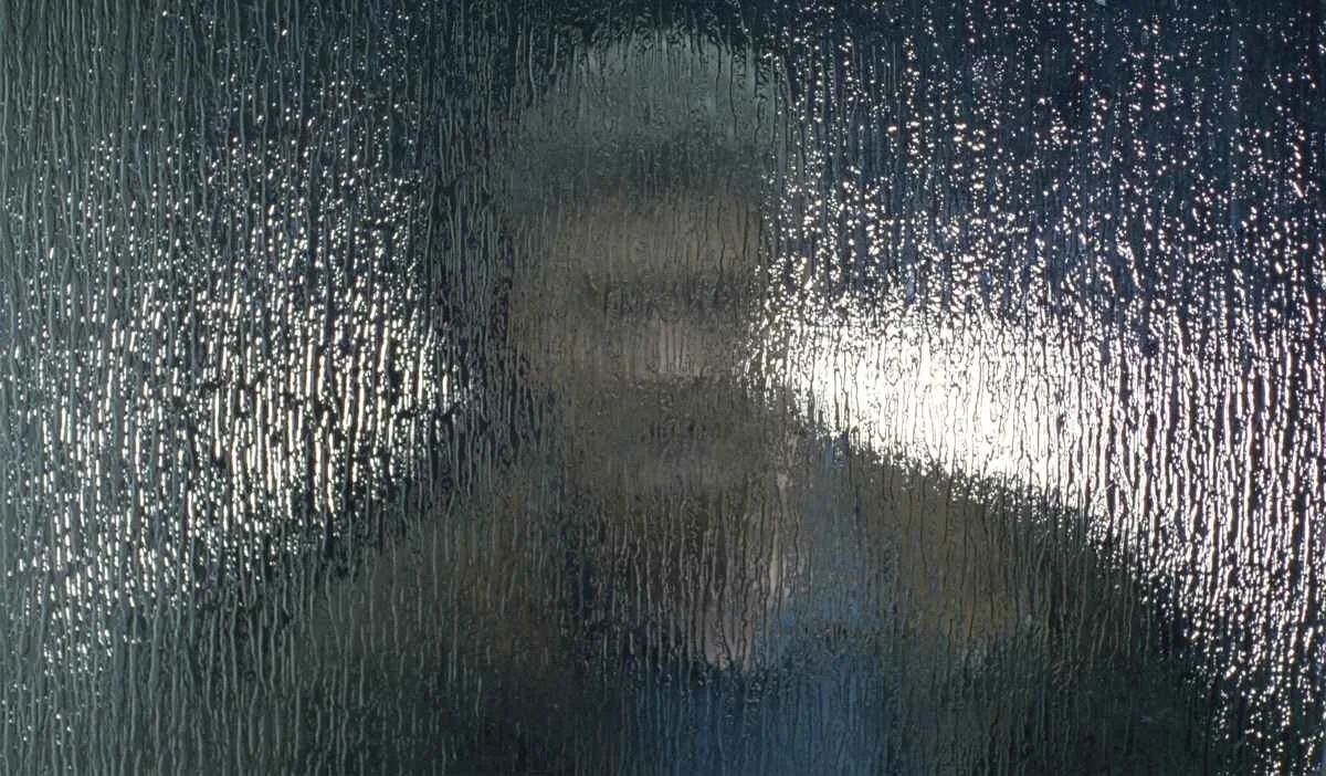 "The Stranger" peeking through window