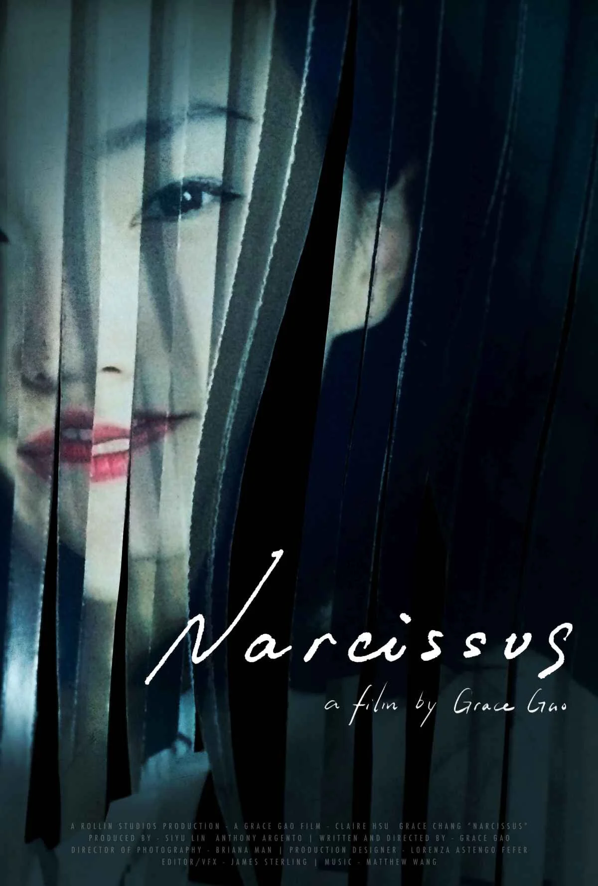 Narcissus poster