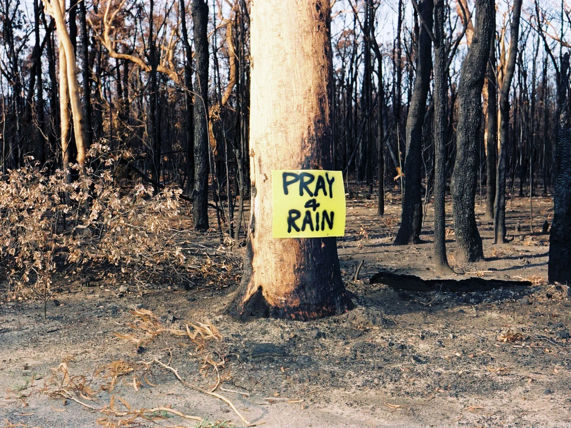Aus Burns H.jpg