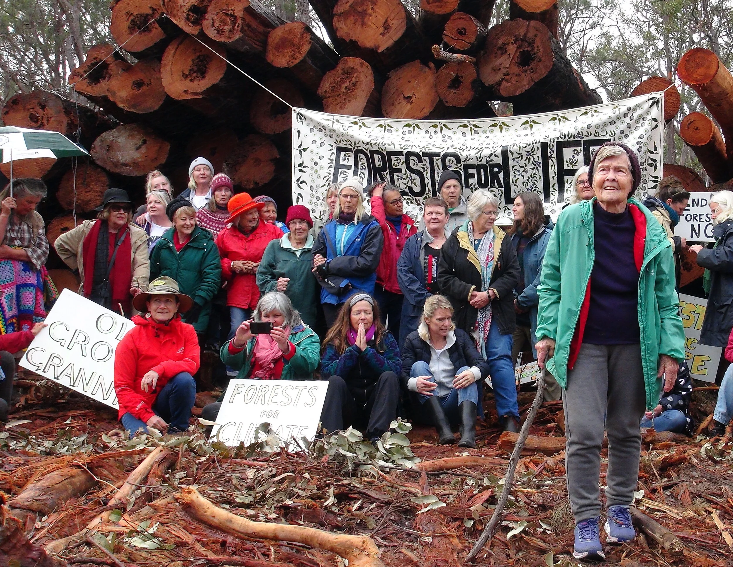 Cry of the Forests - A Western Australian Story