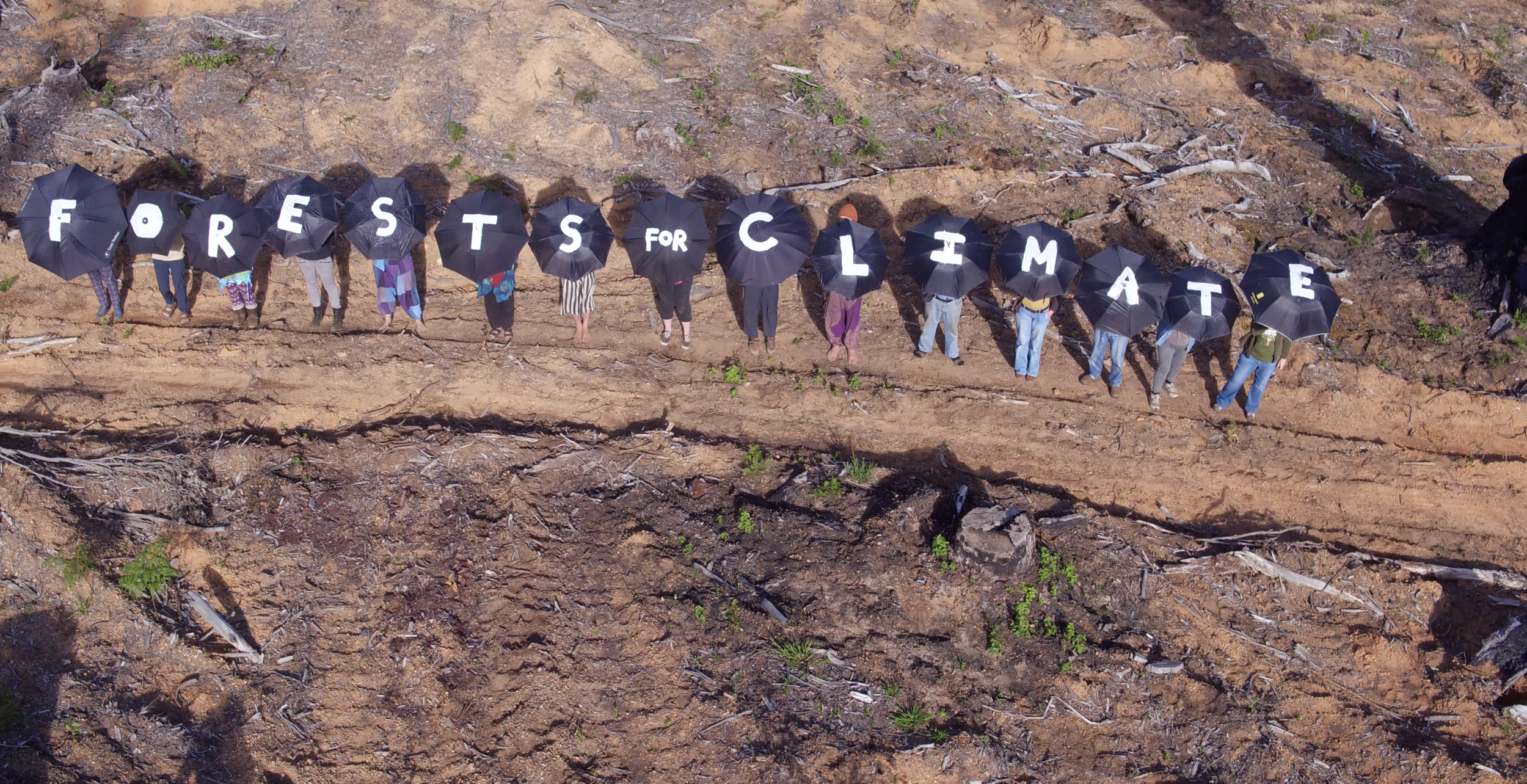 Cry of the Forests - A Western Australian Story