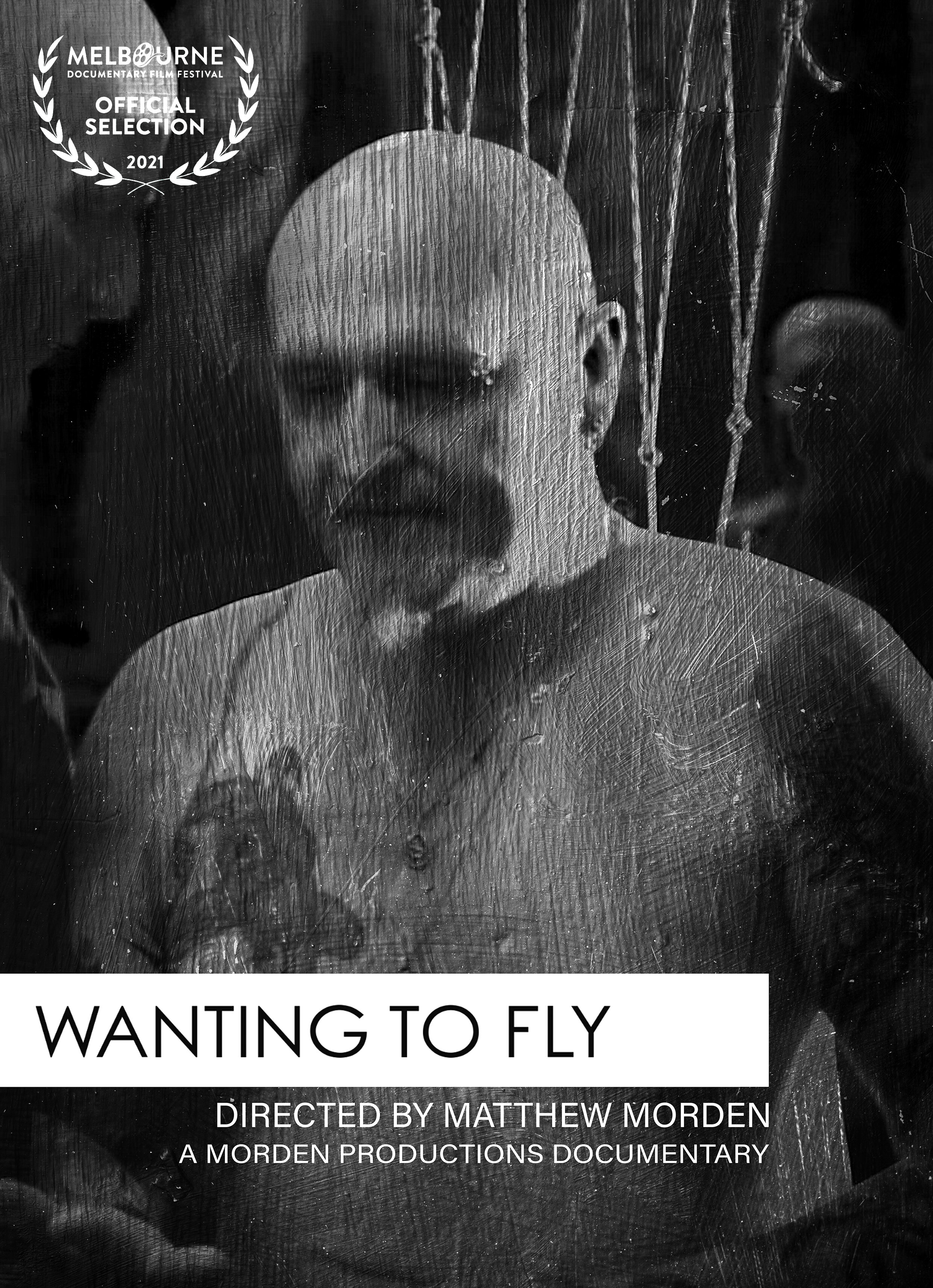 Wanting To Fly