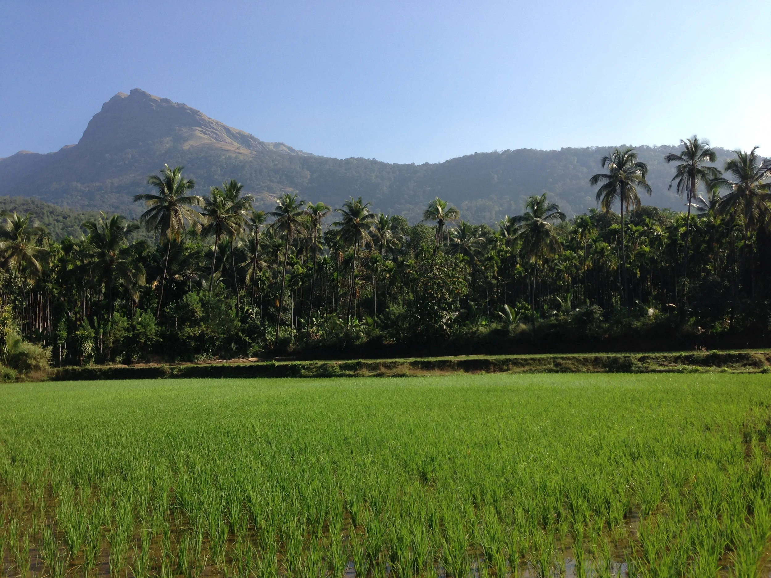  The stunning terrain of the Indian countryside 