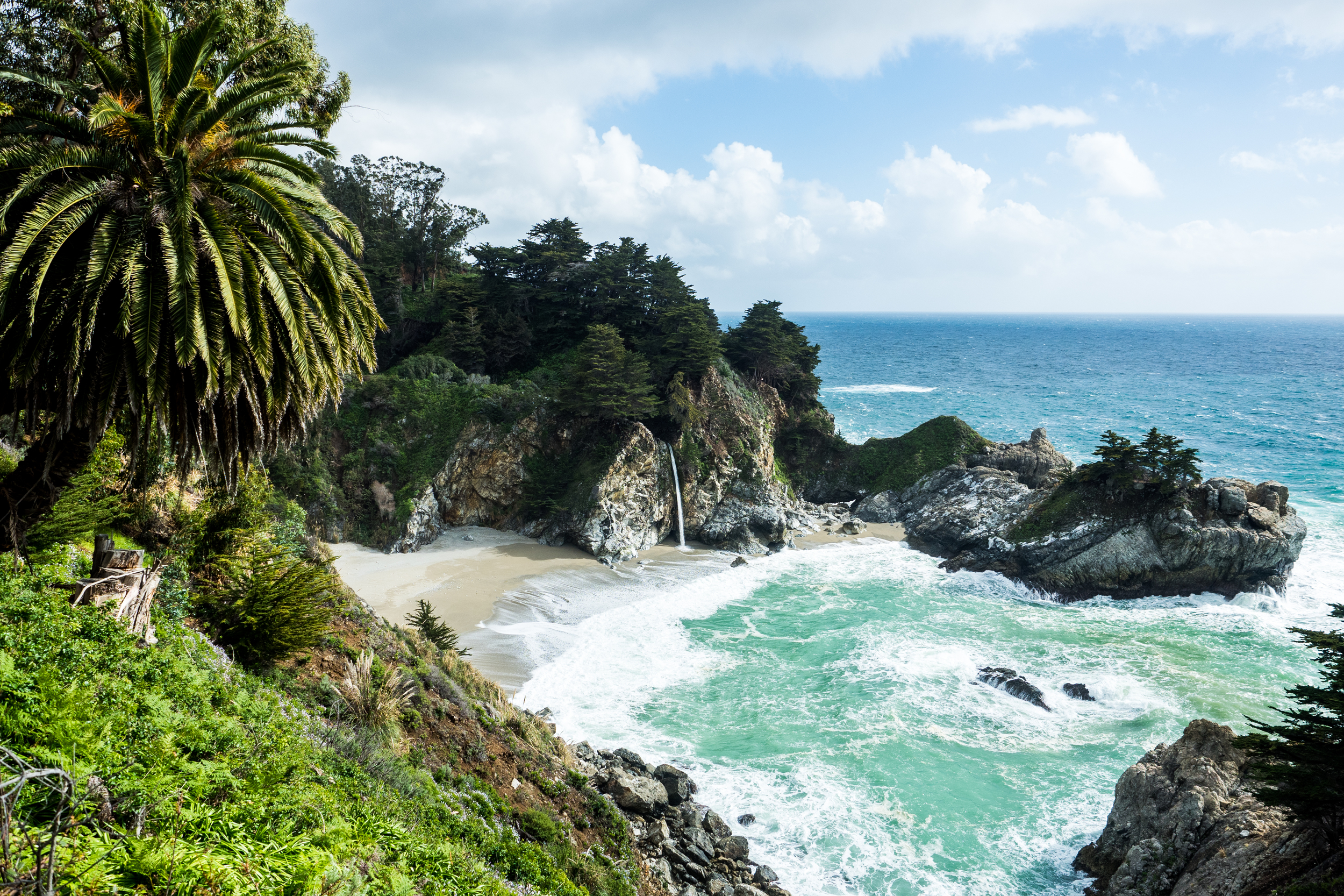 big sur (3 of 9).jpg