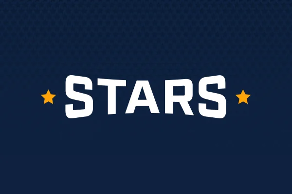 Salt Lake City Stars Barnes Design