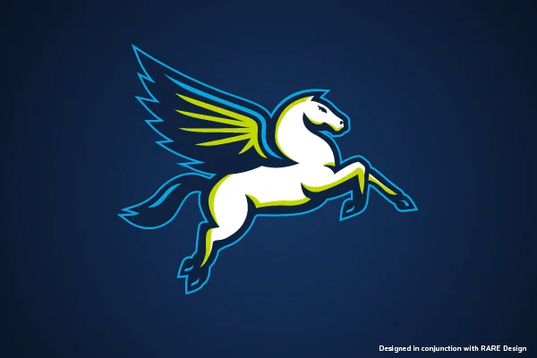 Dallas Wings Secondary Mark