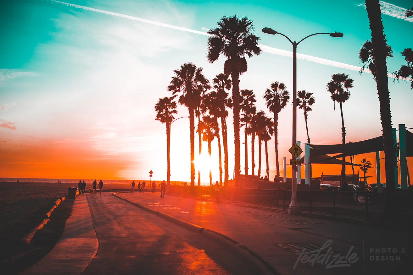 RS_SM_PalmTrees-1_FS.jpg