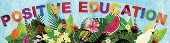 What's so positive about positive education