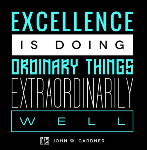 EXCELLENCE IN THE ORDINARY