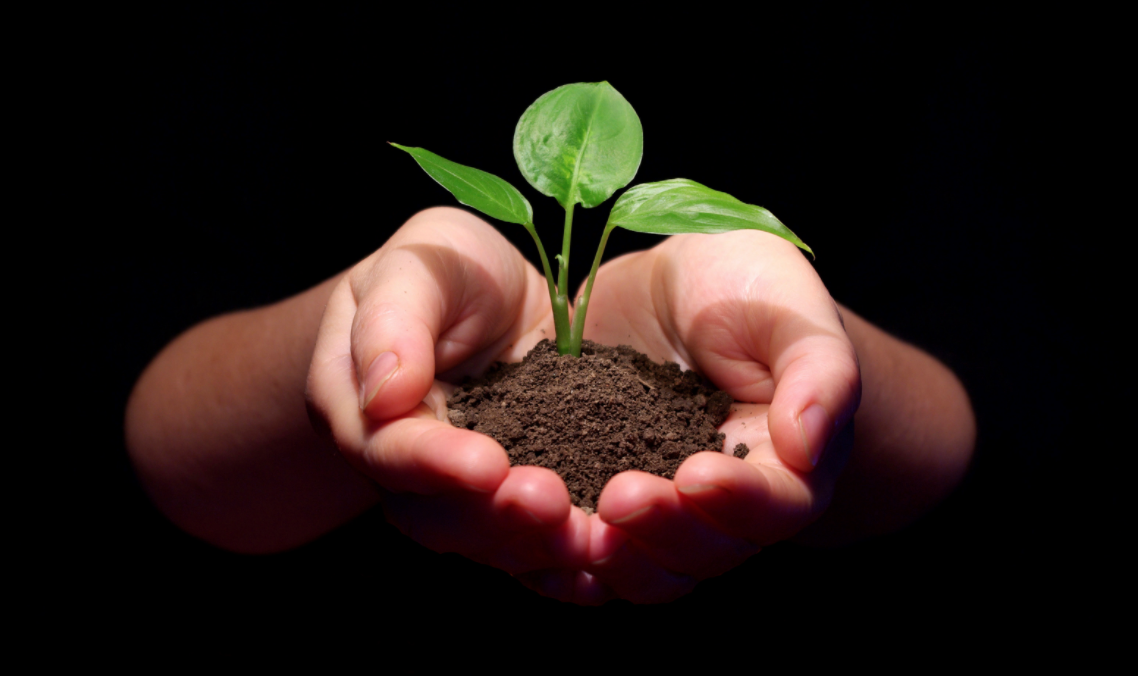 Pride, humility and planting trees for others (lessons from the All Blacks)   Student Leadership Training | Unleashing Personal Potential