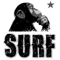 Monkey Surf Club - Riccione