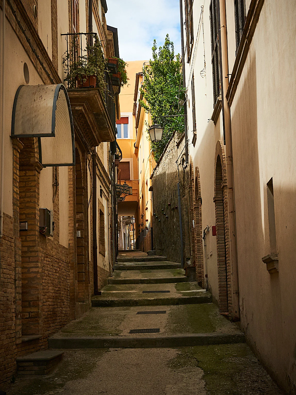 DSC_7701.jpg