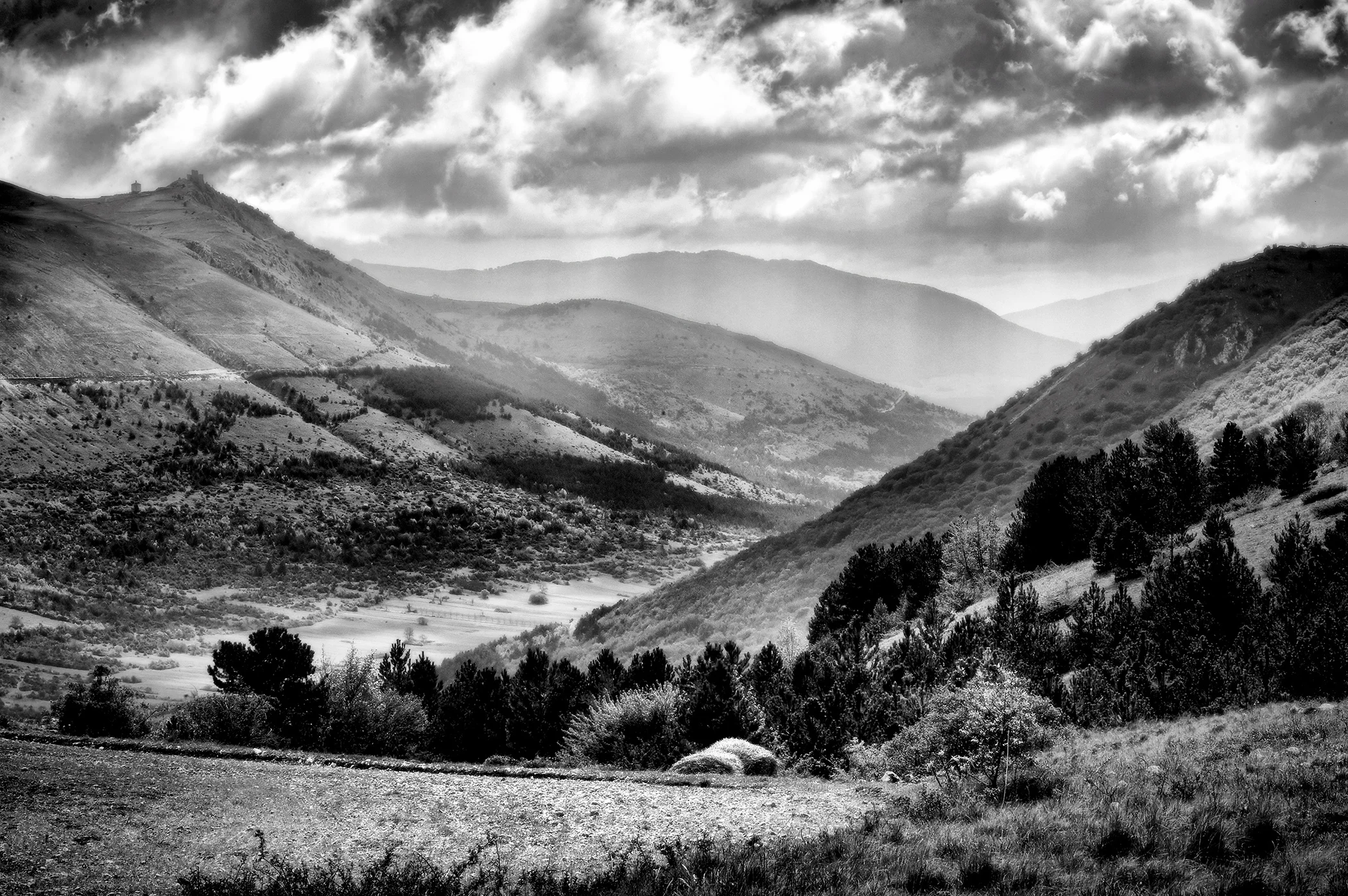DSC_7806BW.jpg