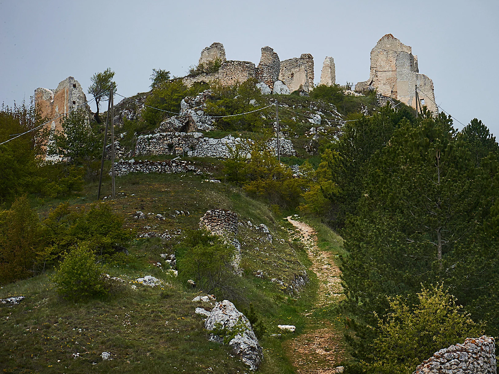 DSC_7812.jpg