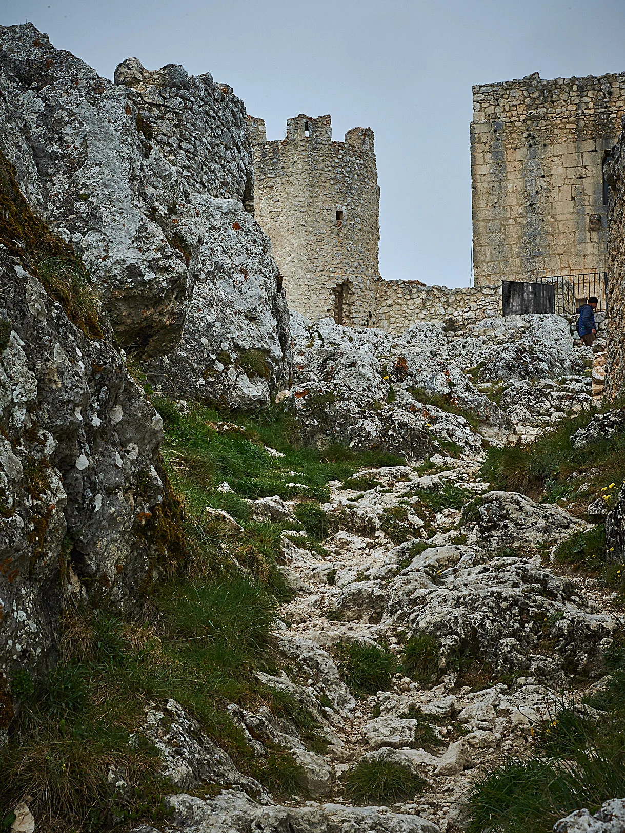DSC_7837.jpg