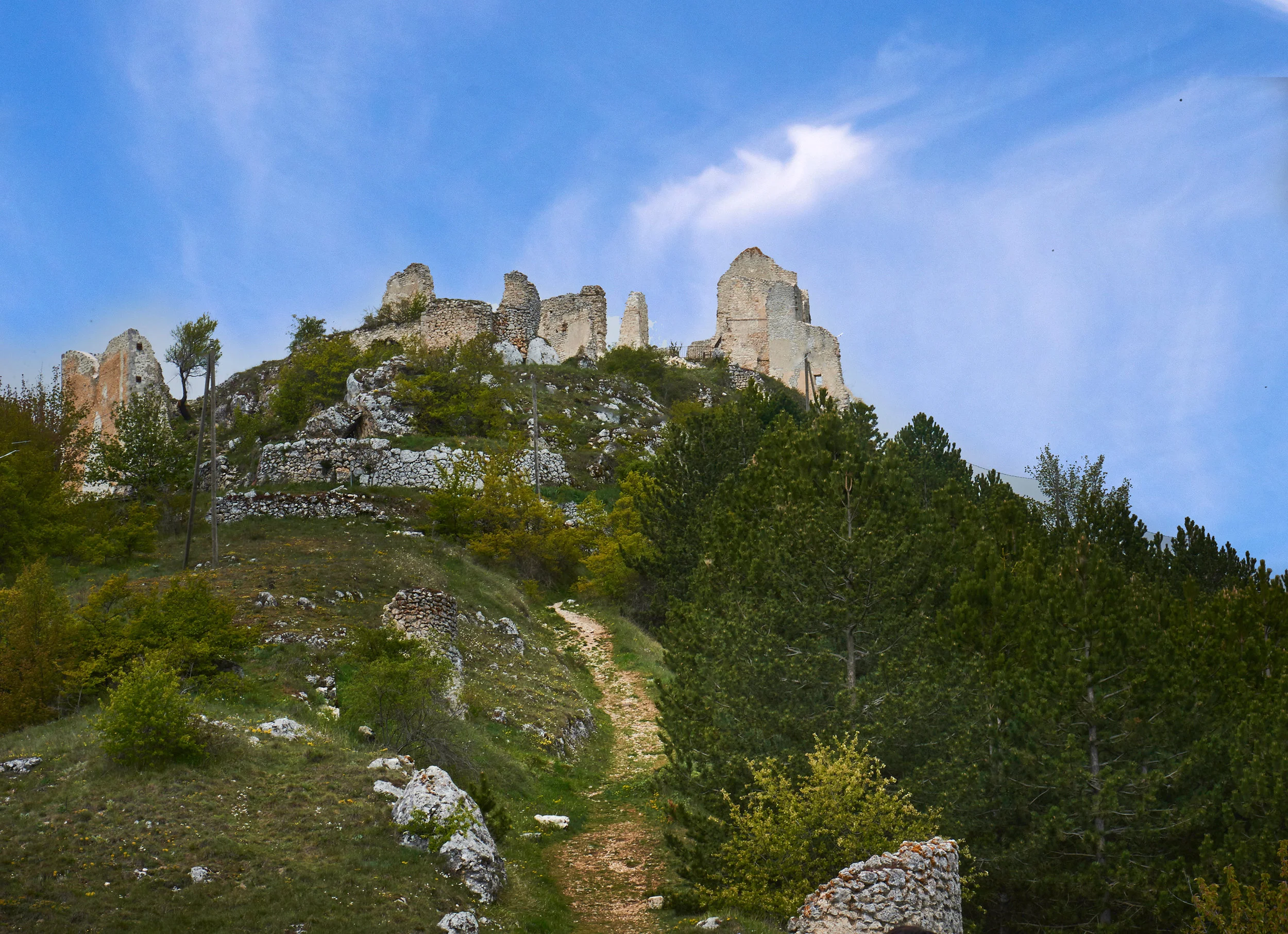 DSC_7811.jpg