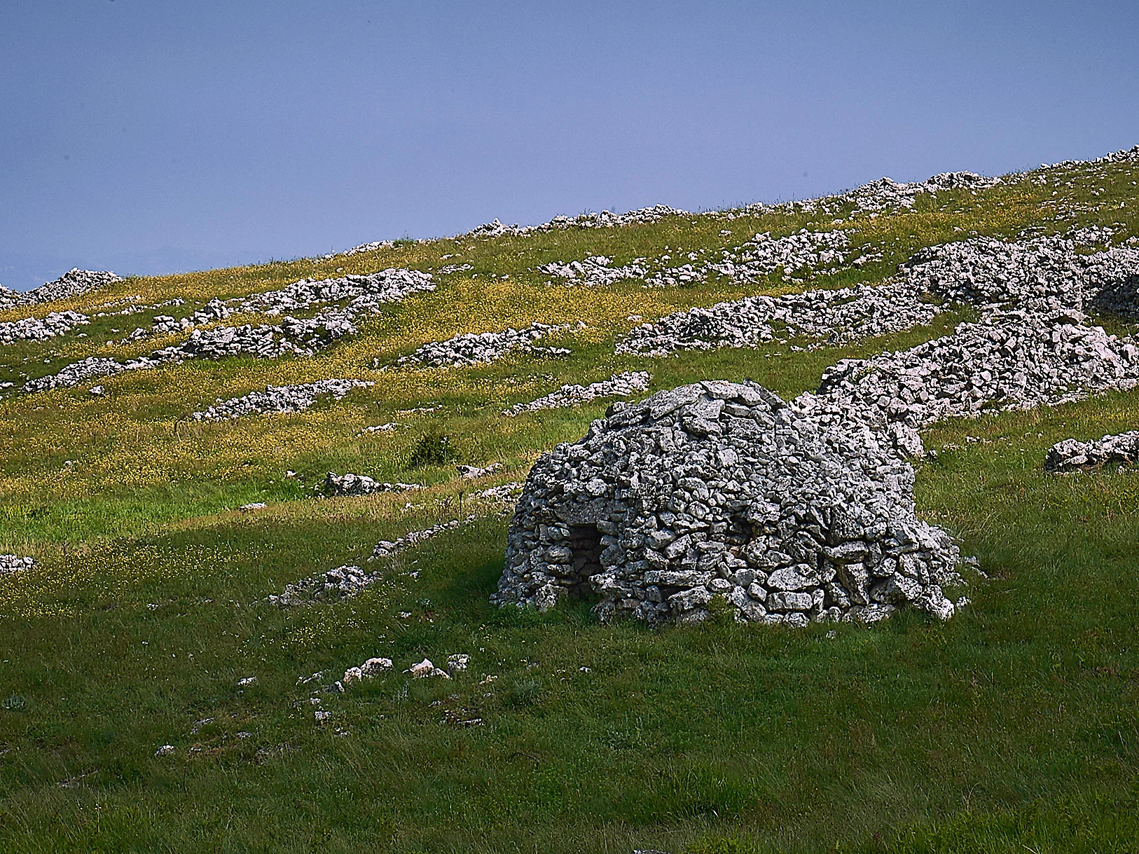 DSC_8022.jpg