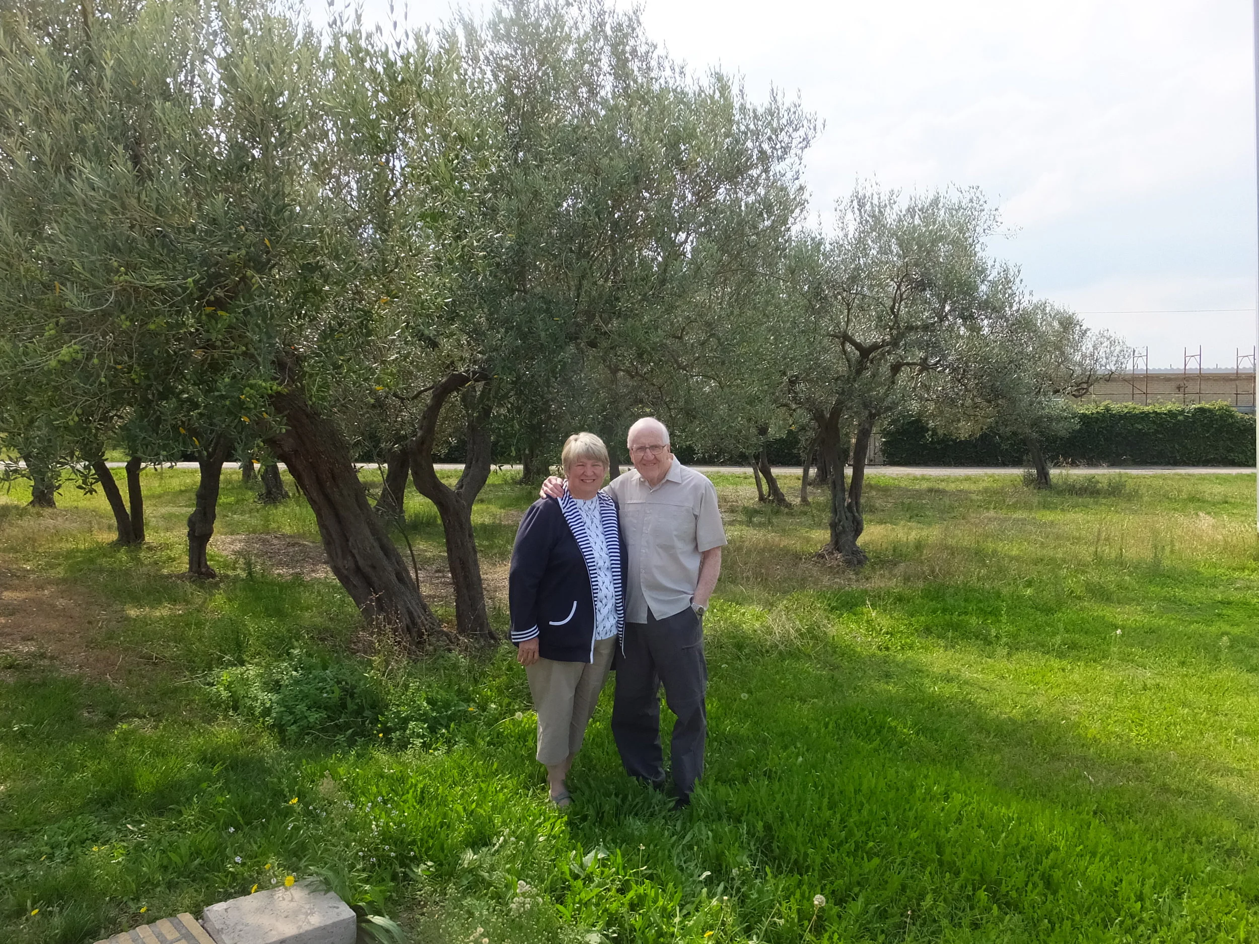 Ortona - Moro view cemetery oliviers 2.JPG