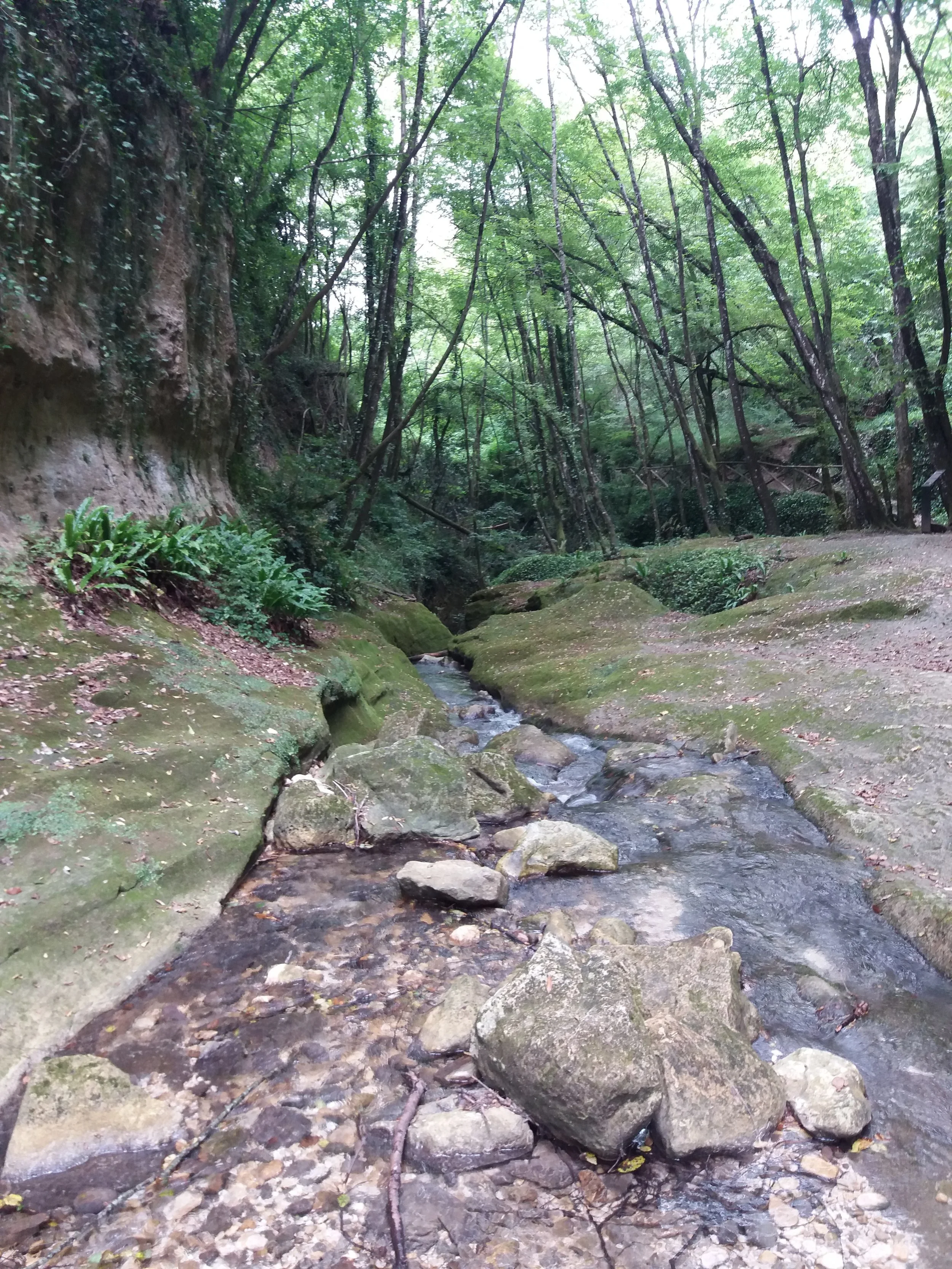 20180613_134811.jpg