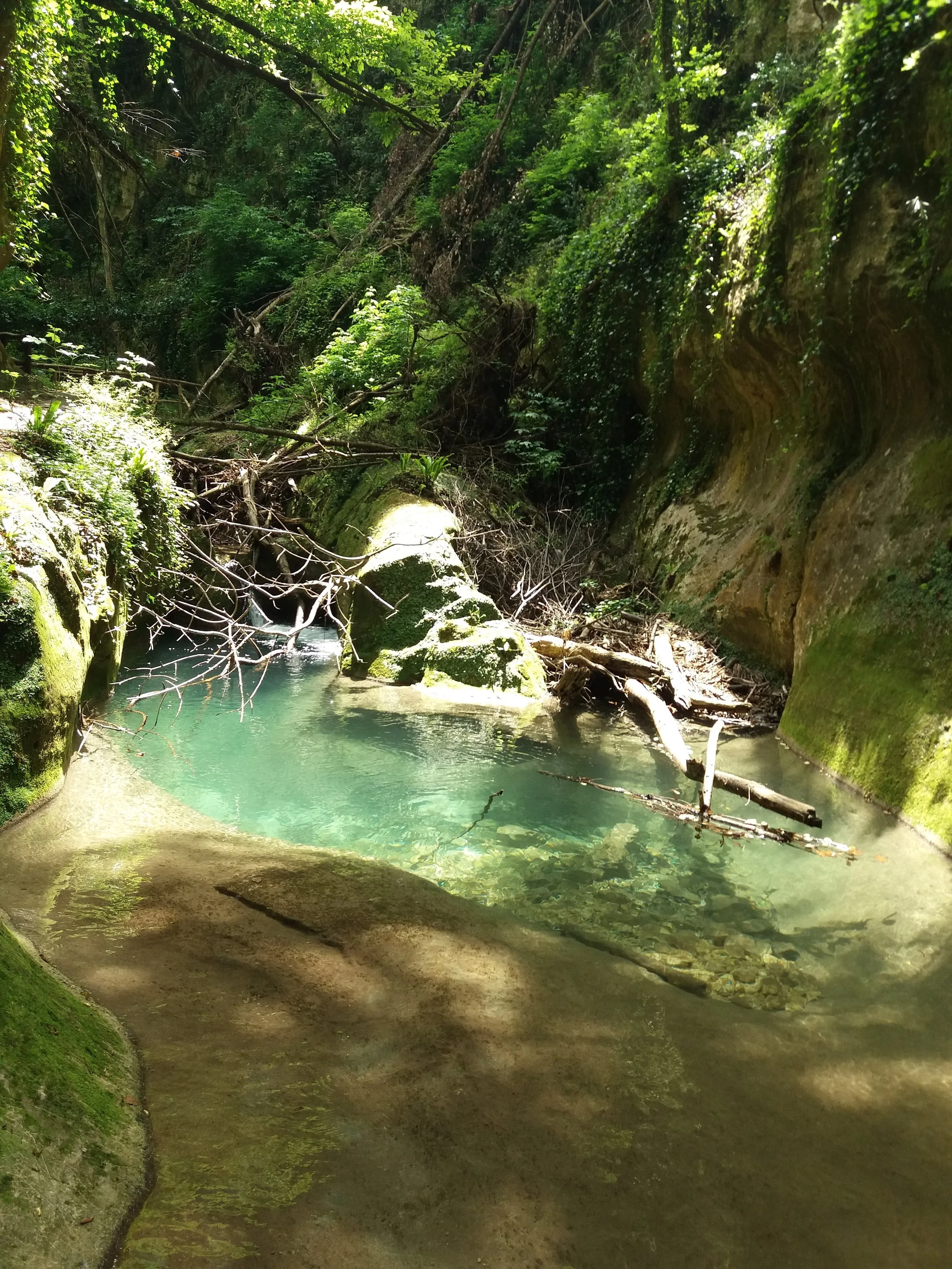 20180613_135106.jpg