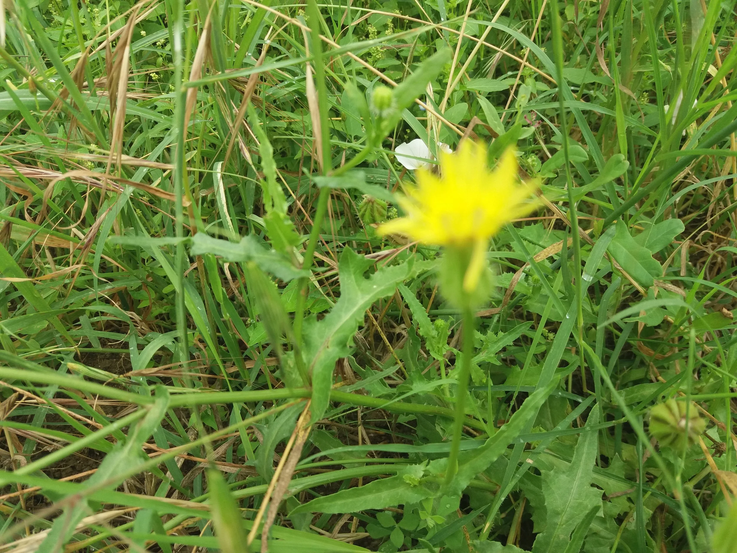 20180615_125552.jpg
