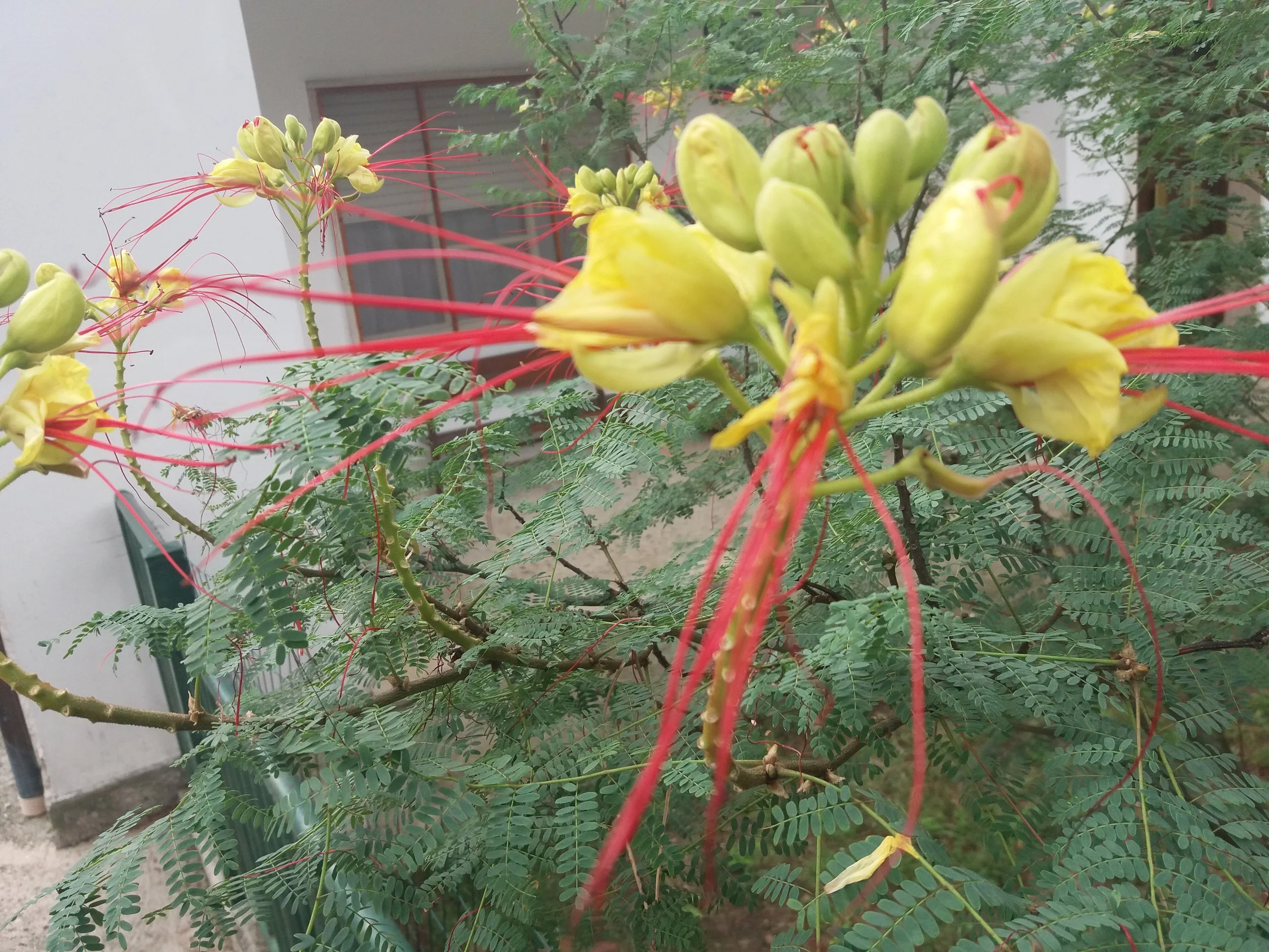 20180615_130048.jpg