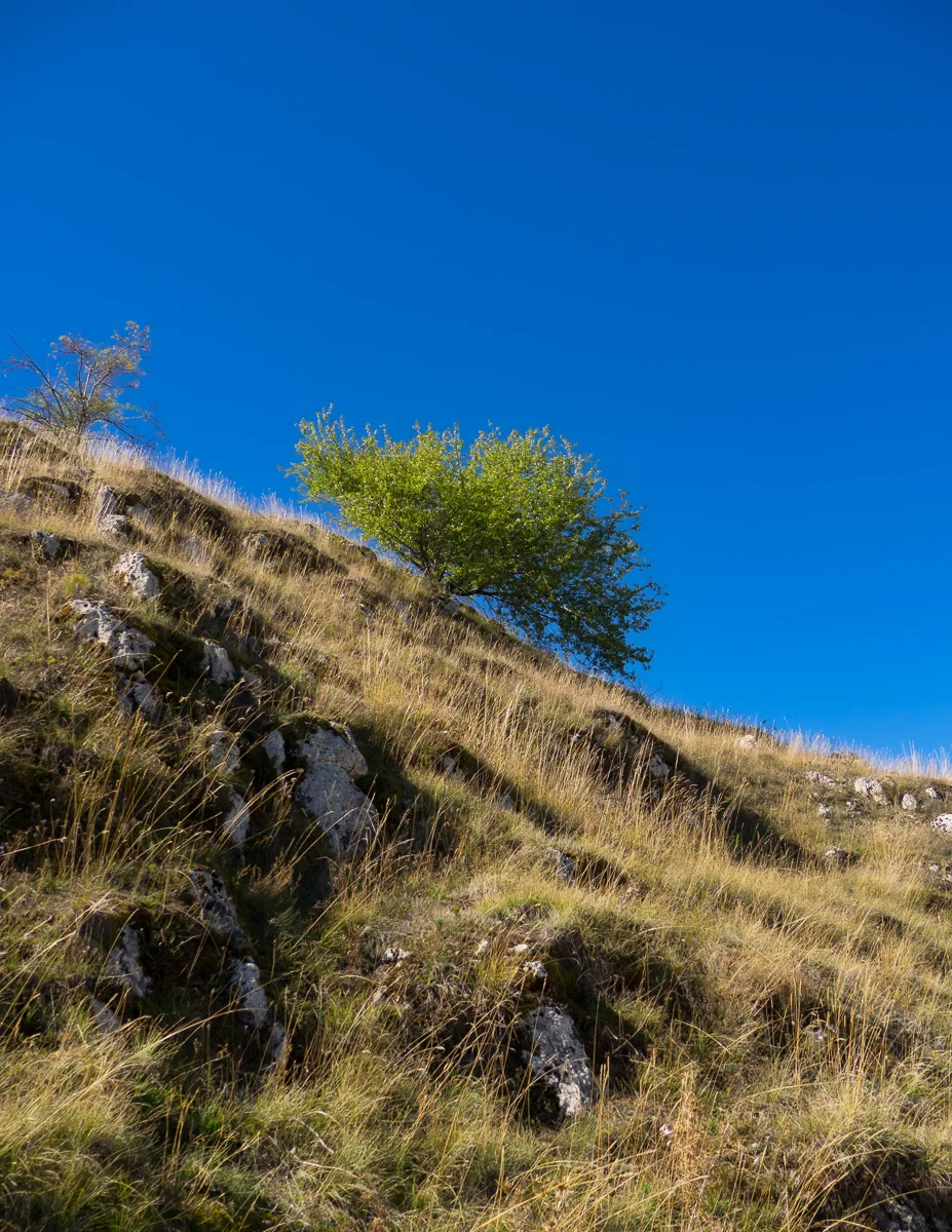 P9259849-X3.jpg