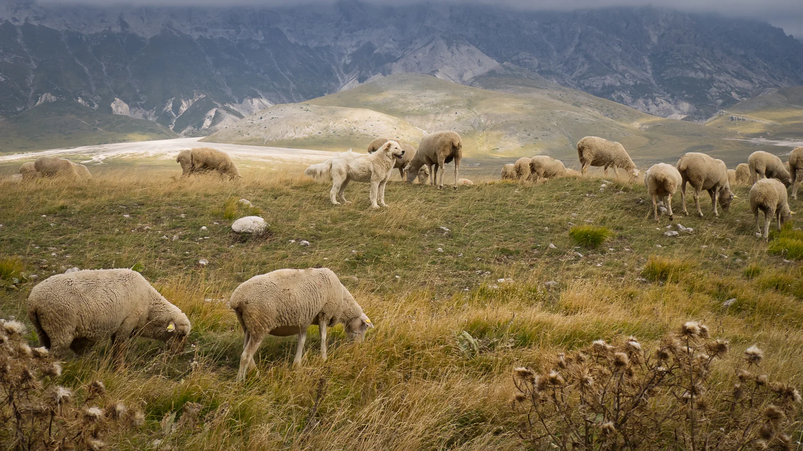 PA010567-2-X3.jpg