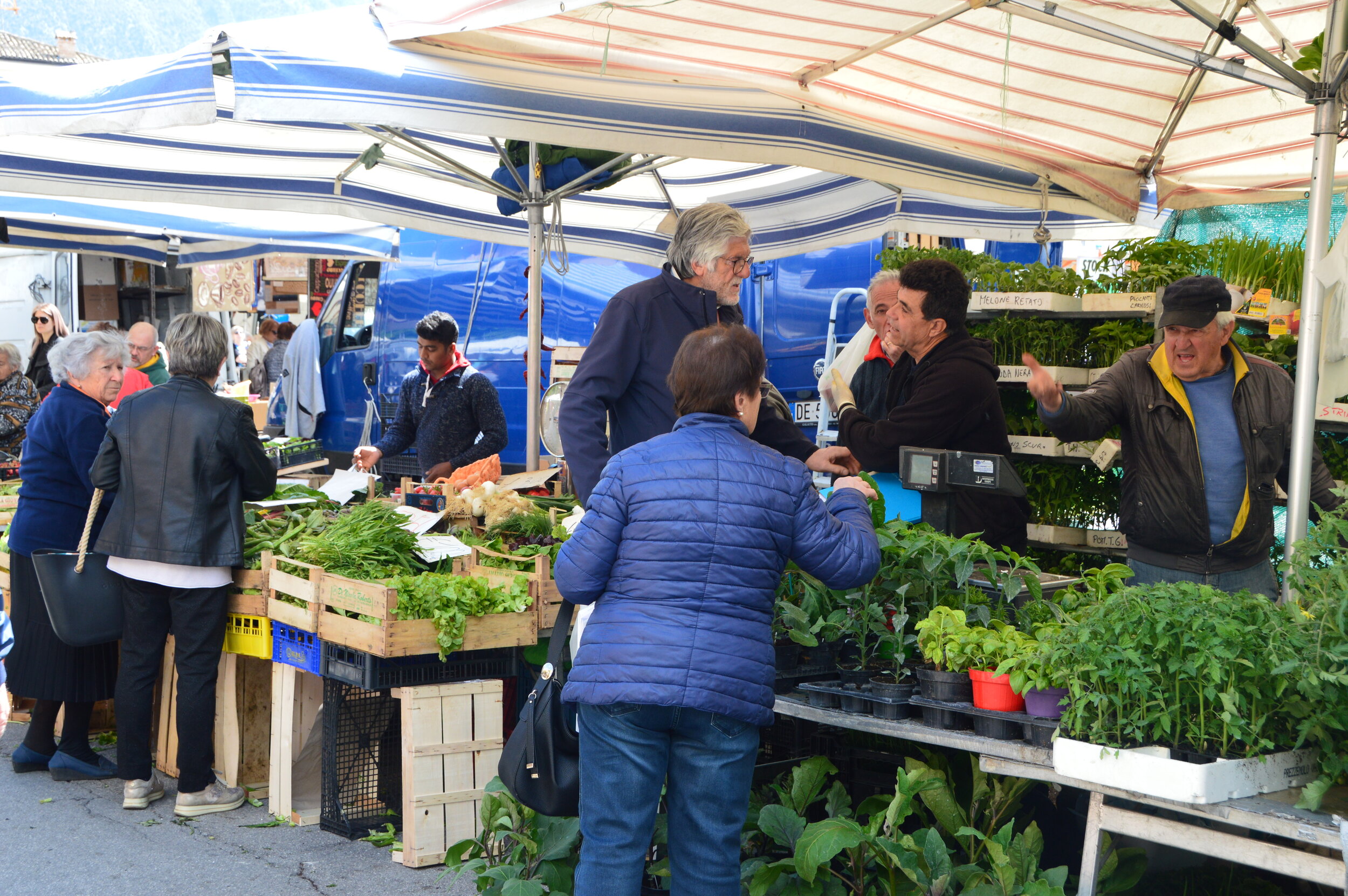 Day 5 - Local Market