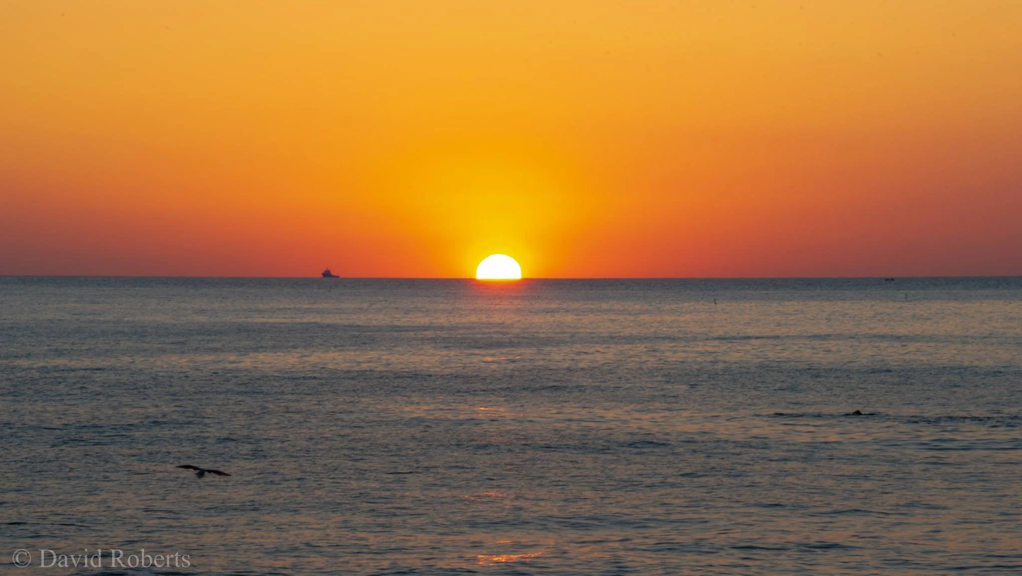   DAY 8&nbsp; - ARRIVEDERCI  Following breakfast, you transfer to where you need to go in Rome or Pescara. 