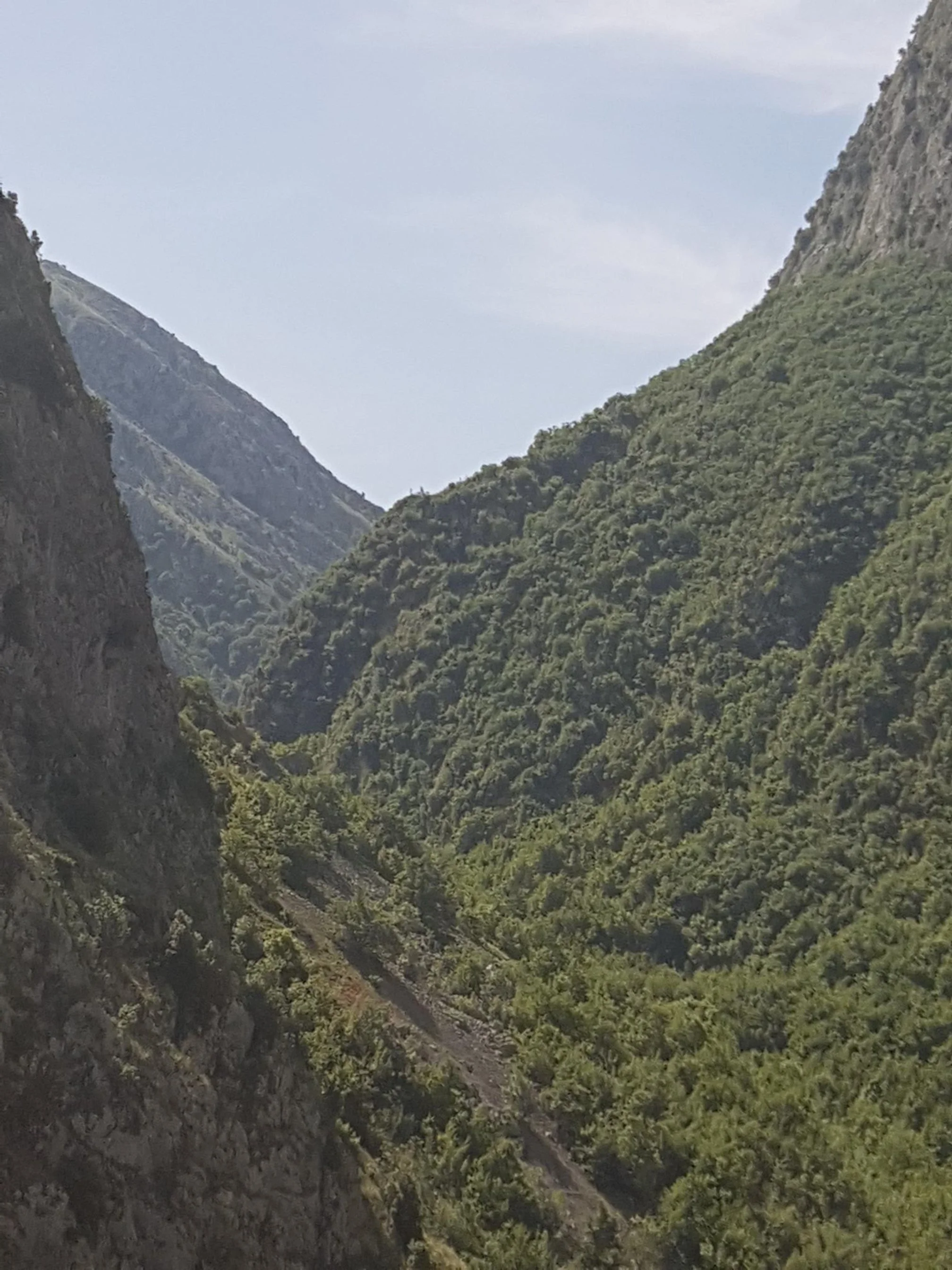 20190614_102644.jpg