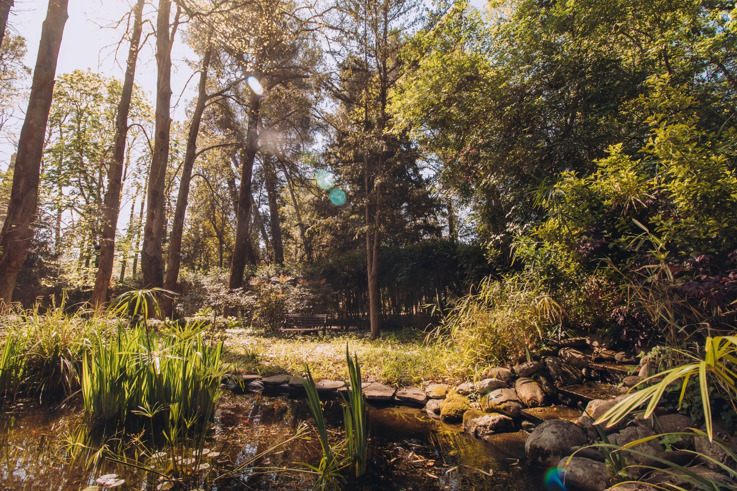 pond.jpg