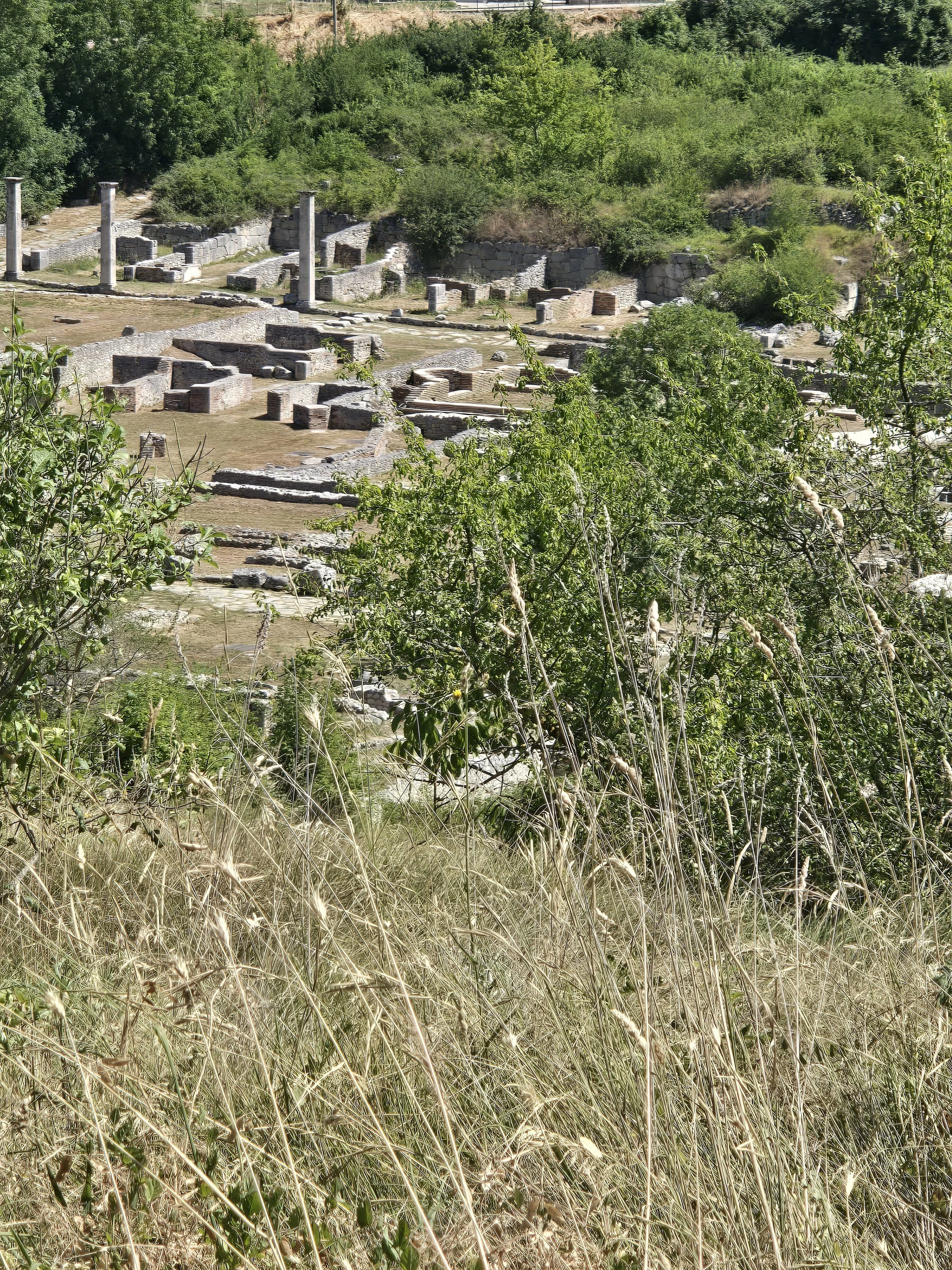 CainesMarilla002.jpg