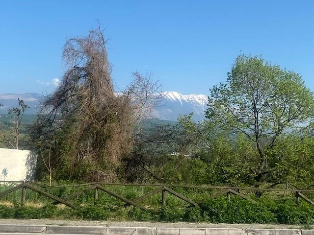 MontopoliTino001.jpg