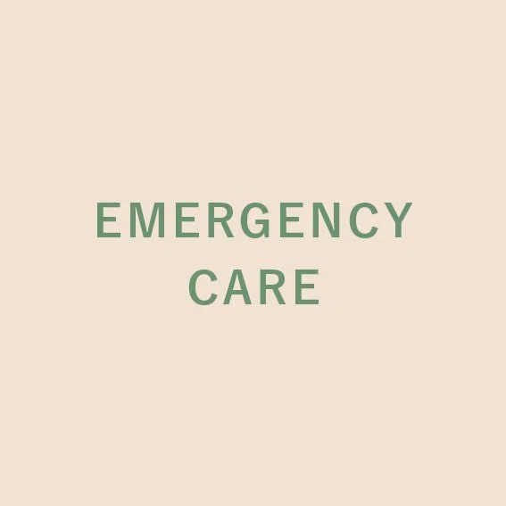 Thumbnail - Emergency care.jpg