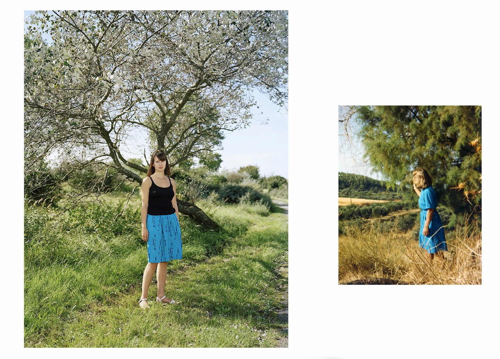 Mimicry - Peggy Franck & Margaretha Driessen de Bruijn