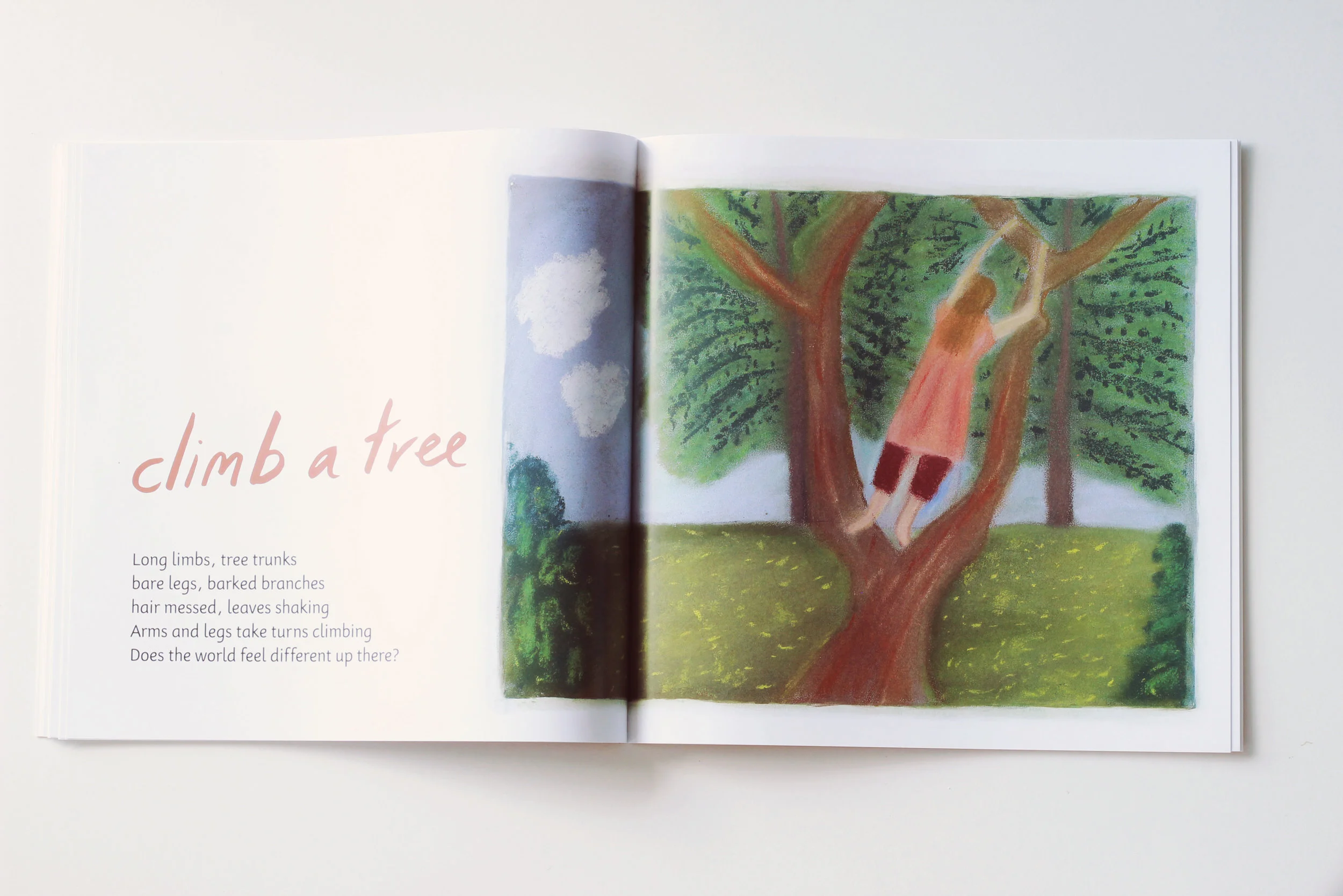 Climb a tree.jpg