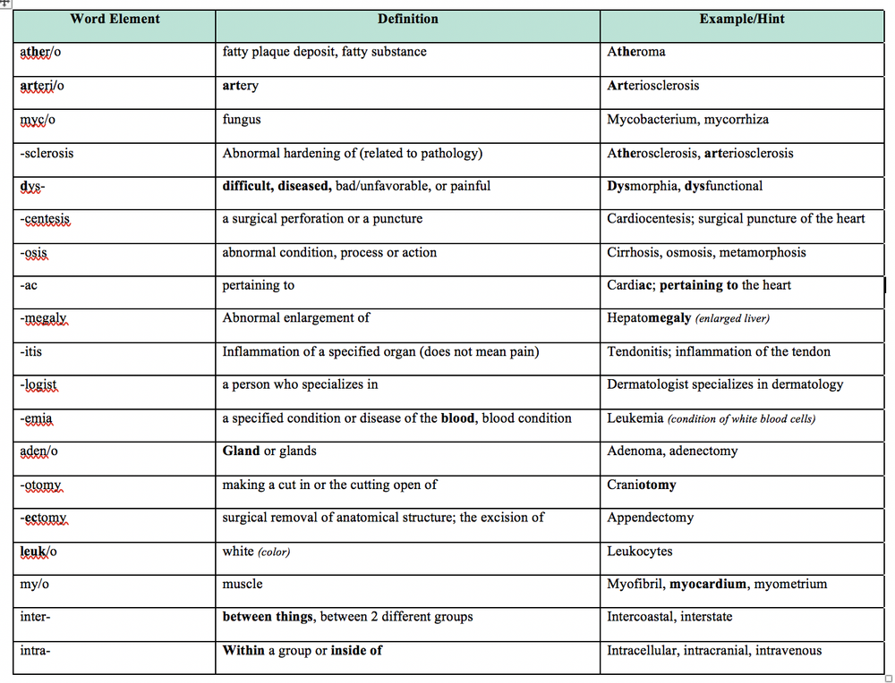 learning-medical-terminology-becaziam
