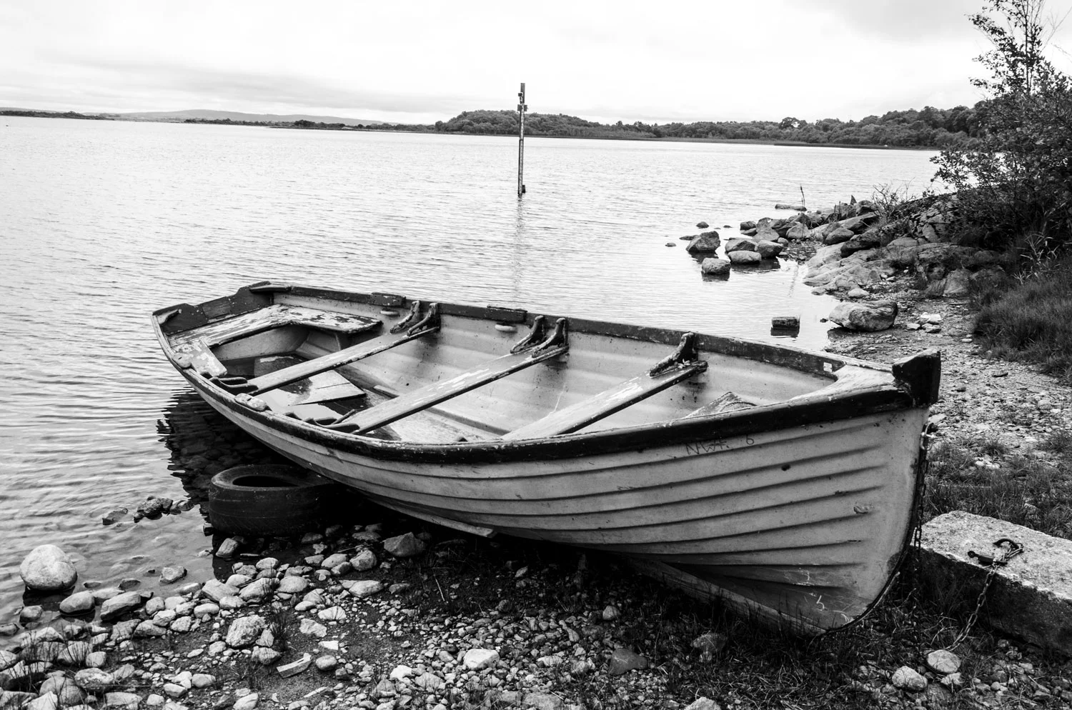 haven_03.jpg