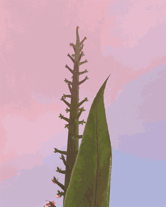 digitalis_2_gif.gif