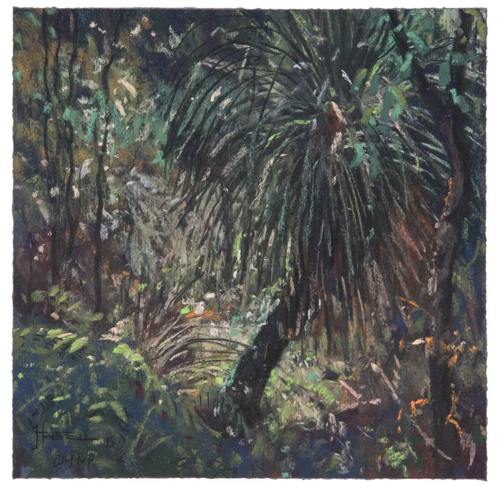 No. 30 - Blue Mountains National Park