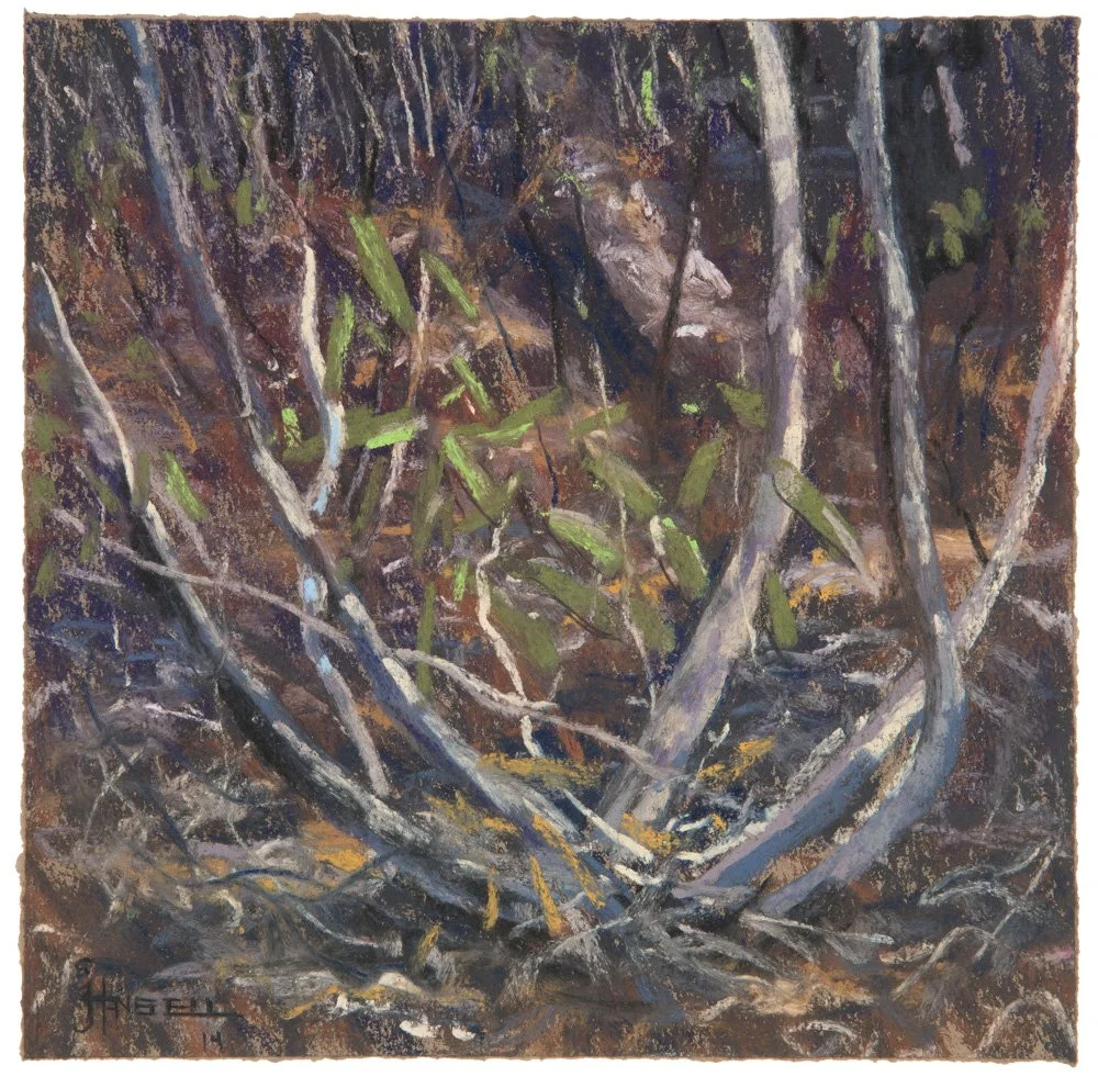 No. 24 - Burralow Rd