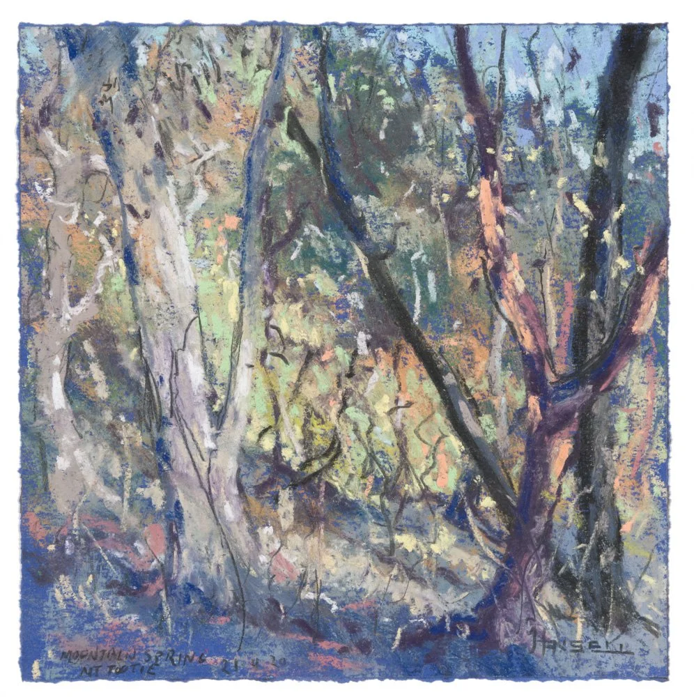 No. 6  - Mountain Spring, Mt Tootie   2020