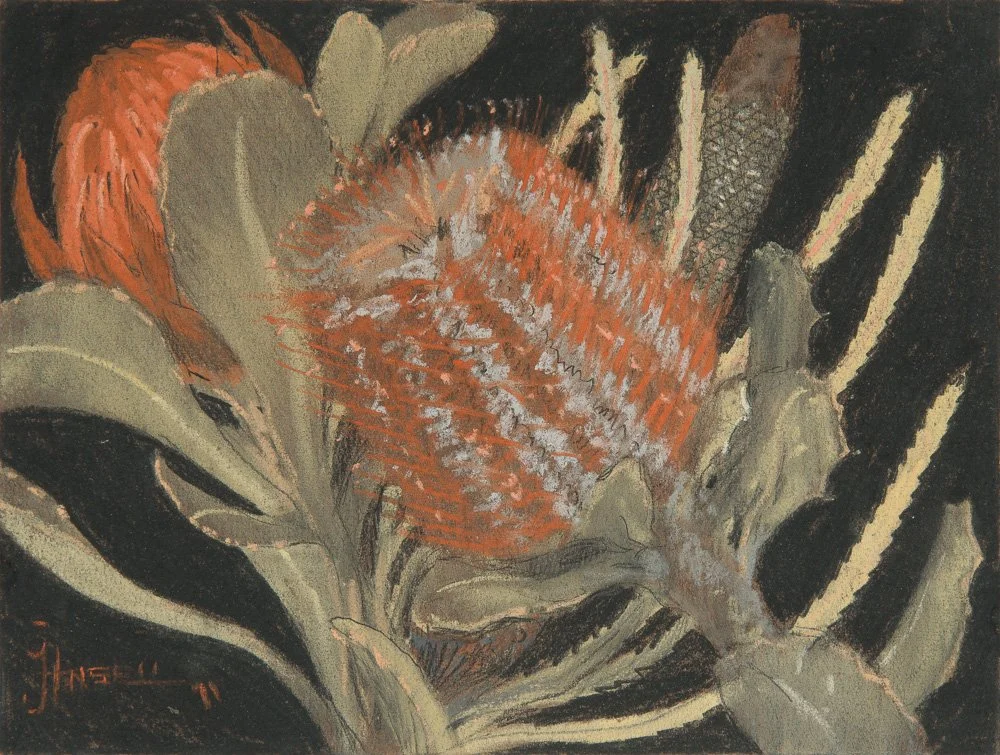 No. 8 - Banksias   2011
