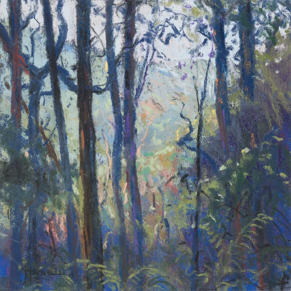 No. 5 - From Tagaraga Ridge   2015